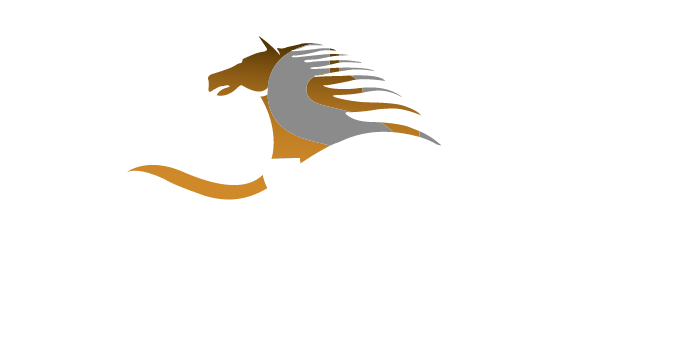 Belhasa Global Exchange