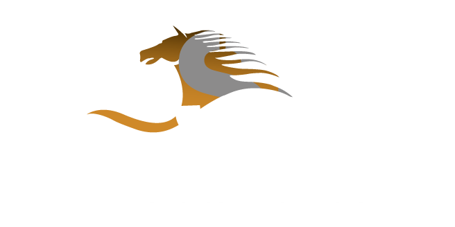 Belhasa Security Services