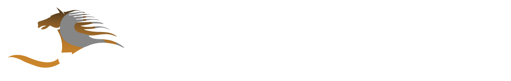Welcome to Saif Belhasa Holding
